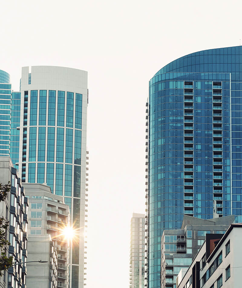 20 años de experiencia